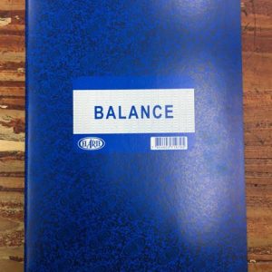 Libro Balance 30 Hojas Foliado El Arte